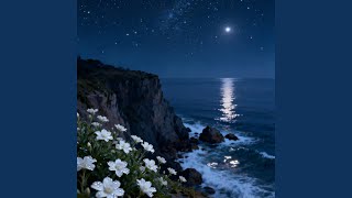 Starlight Code trending Version