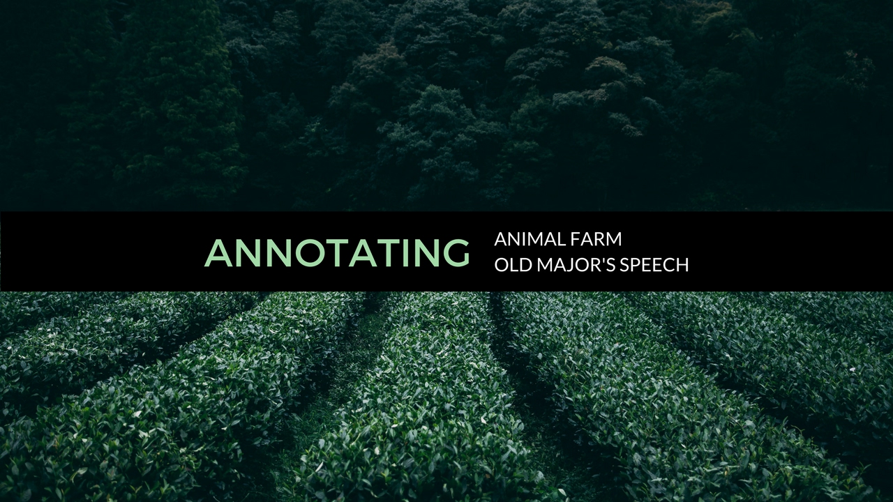 animal farm speech analysis
