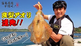 【穴場ポイントを紹介!?】晩春のアオリイカを狙ってランガン!! in 島根 ｜ 笛木展雄が行く！(1214)