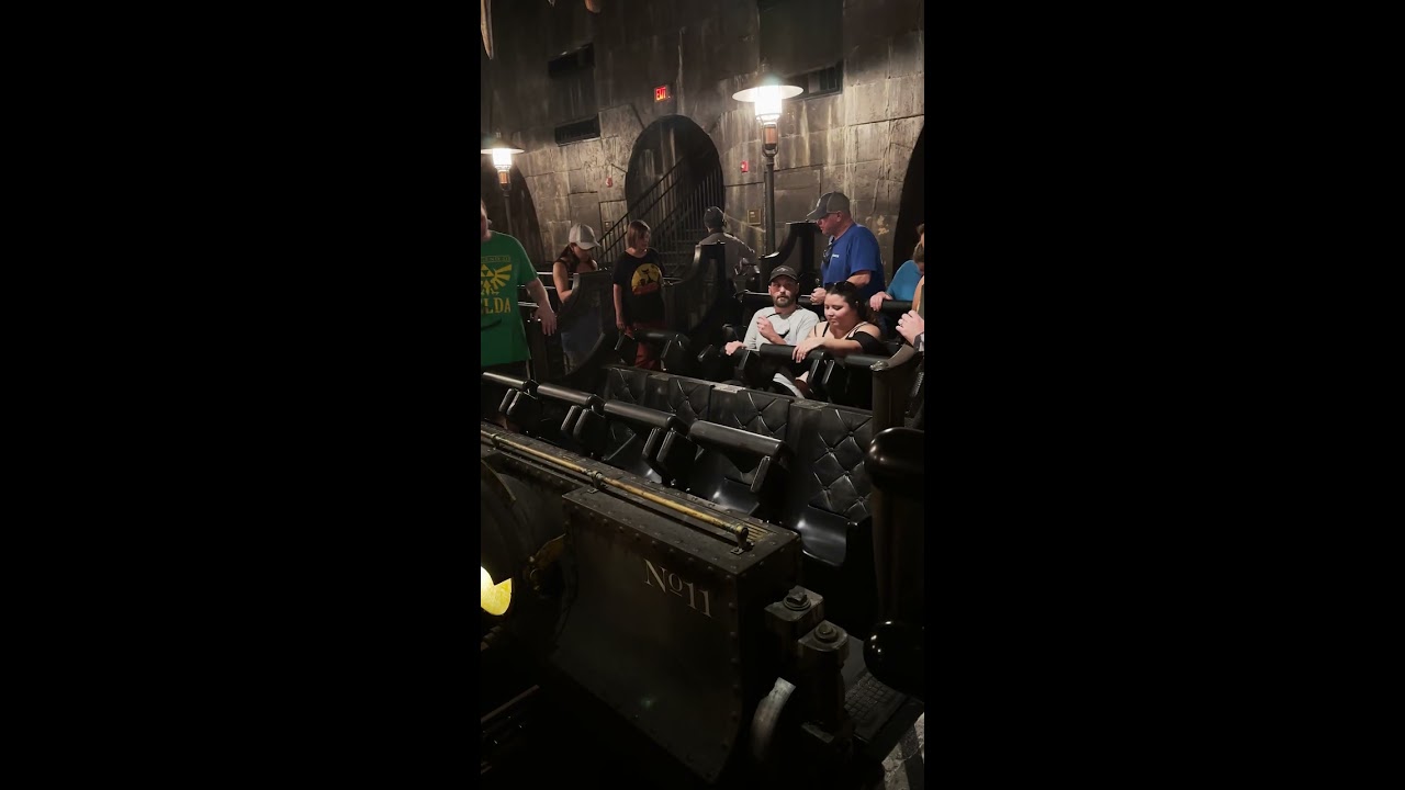 Harry Potter And The Escape From Gringotts Shorts