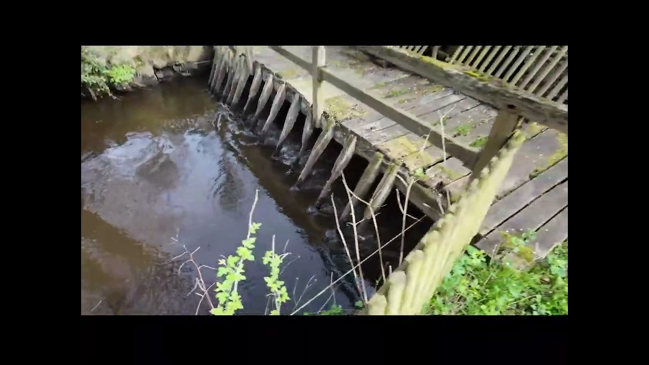 Wassermühle - Mühlenhof Soderstorf