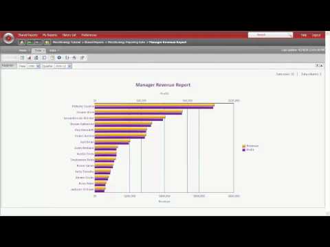 MicroStrategy Reporting Suite - Graphs and Charts