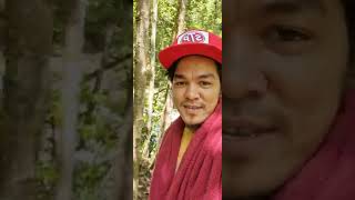 BUNTONG WATERFALL - IPOH,PERAK