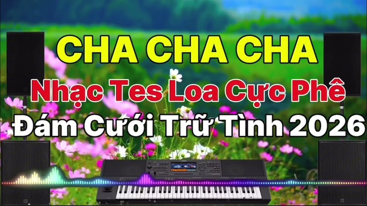 Lk Cha Cha Cha Hoà Tấu Nhạc sống / Đám cưới Trữ Tình quê Hương 2026 !