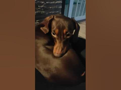 pirányá - YouTube