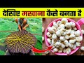 देखिए मखाना कैसे बनता है | Makhana Kaise Banta hai | Makhana Making Process | Makhana ki Kheti