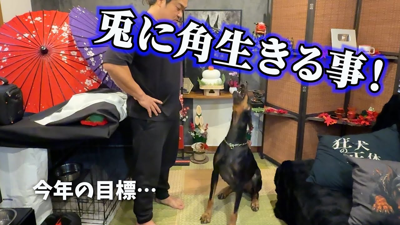 Doberman is excited to be back home after a week - YouTube