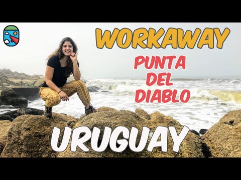 Workaway in Uruguay - Punta del Diablo |BIT 27|