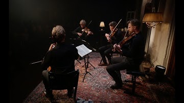 Danish String Quartet plays Beethoven quartet in c minor, op. 18 no. 4, 1st mov.