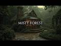 Let the Misty Forest Guide You to the Hidden Study House | Dark Academia Music & Ambient Piano