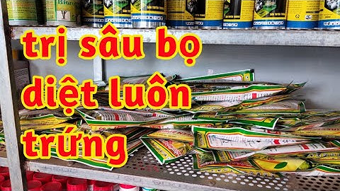 Sâu Lá Bọ Trĩ Rầy Rệp Chích Hút Diệt Trứng Côn Trùng