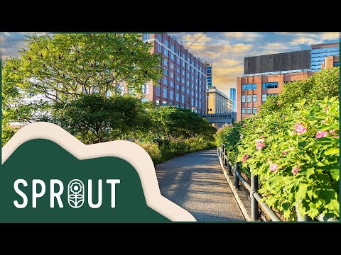 Sprout - HighLine