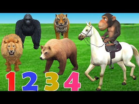 funny-monkey-horse-riding-in-forest-to-learn-animals-names-for-kids---wild-animals-cartoons-for-kids