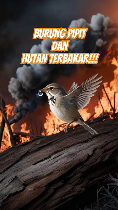 Moral Message from the Story of the Sparrow and the Burning Forest