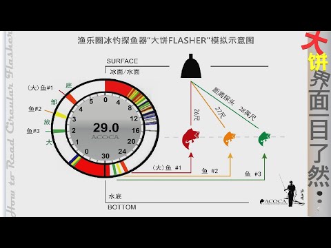 【大饼机Circular Flasher】大饼界面，冰钓首选：轻松读懂“大饼“探鱼器Fish Finder: How to Read CIRCULAR FLASHER for Ice Fishing?