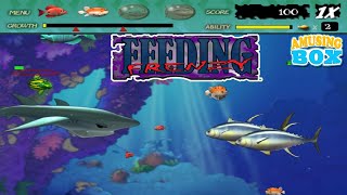 Feeding Frenzy | Stage 30 Swim and Cover | 31 Marlin Madness | Eat Fish GamePlay | 7th Part