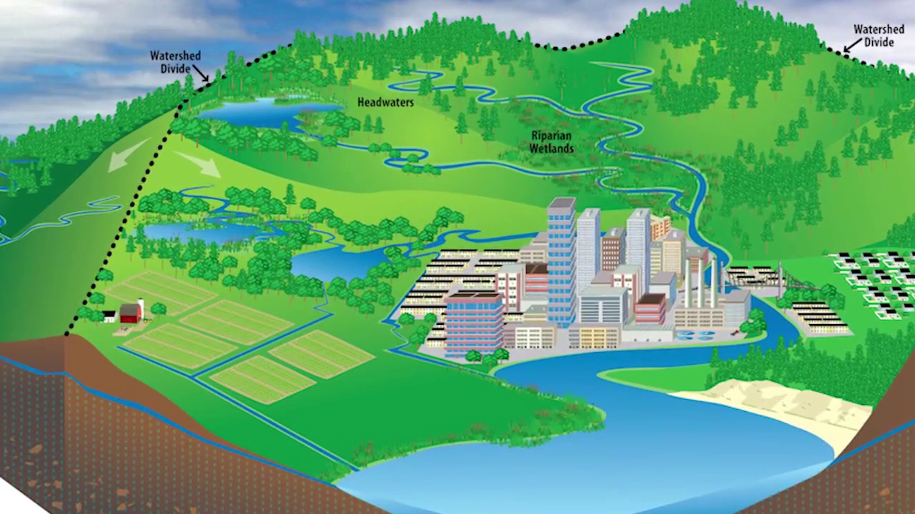 Kid-Friendly Introduction to the Santa Fe Upper Watershed