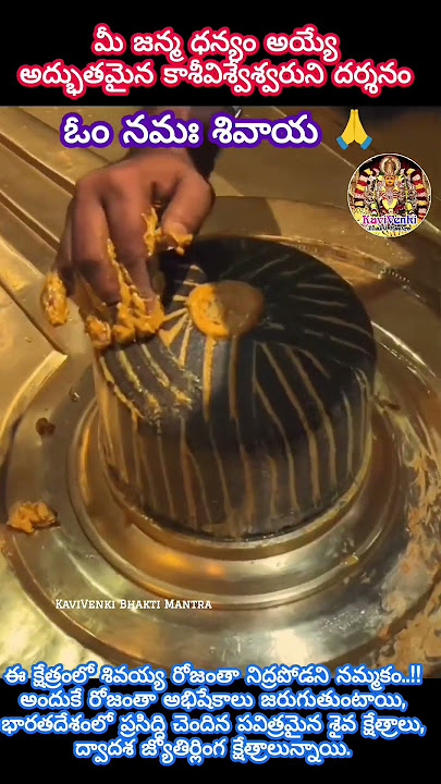 మీ జన్మ ధన్యం అయ్యే అద్భుతమైన కాశీవిశ్వేశ్వరుని దర్శనం #ShortsFeed #TeluguBhakti #Spiritual