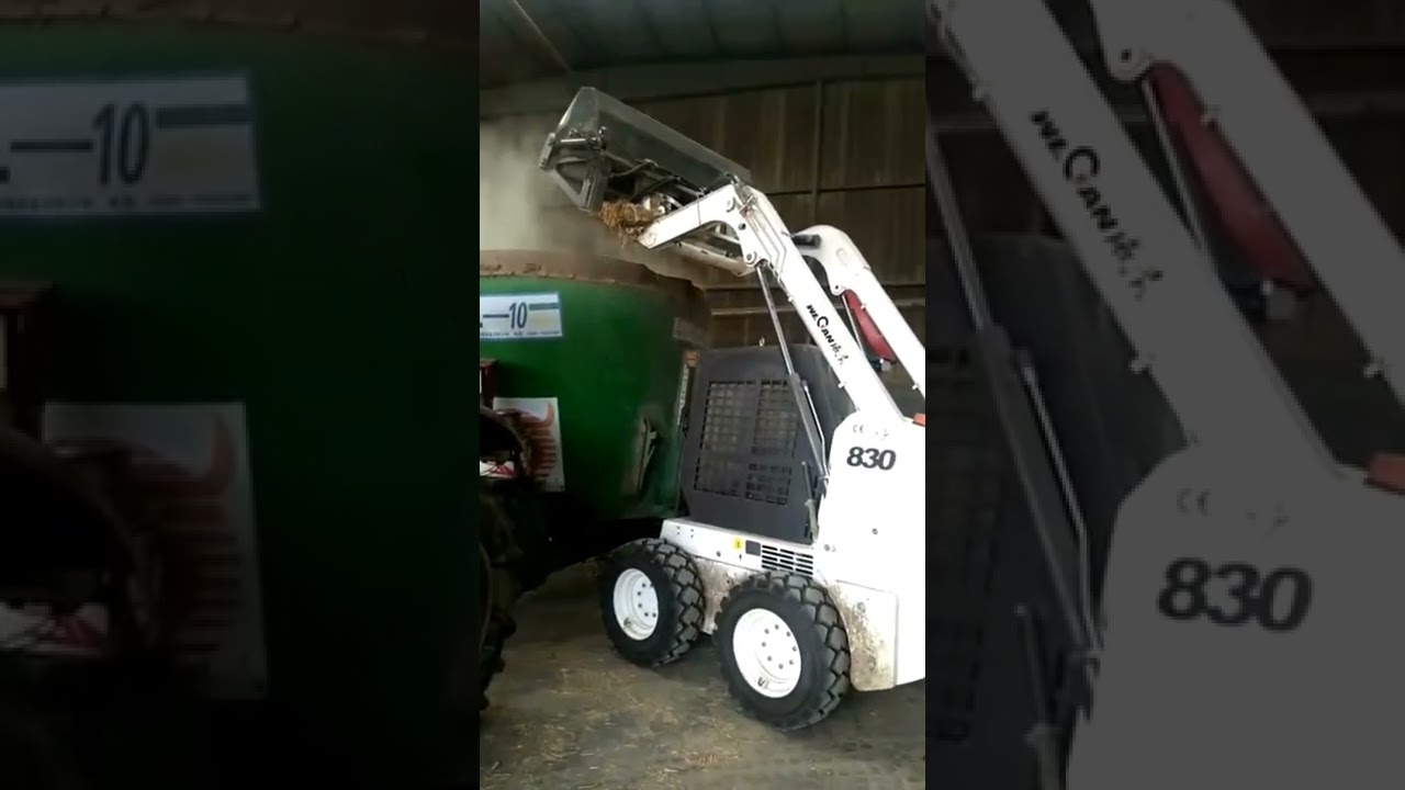 WECAN Skid Steer Loader is working with tipping bucket YouTube