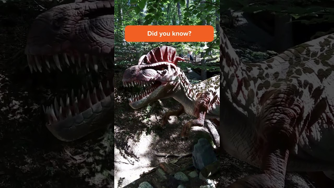 🌍🦖 Explore the World of Dinosaurs at Dino Parc Rasnov! 🦕✨