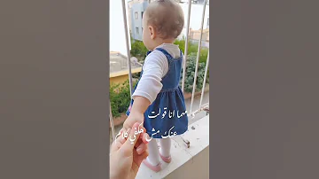 حبيبتي وصحبتي وبنتي أصالة نصري أسيل نعوس 