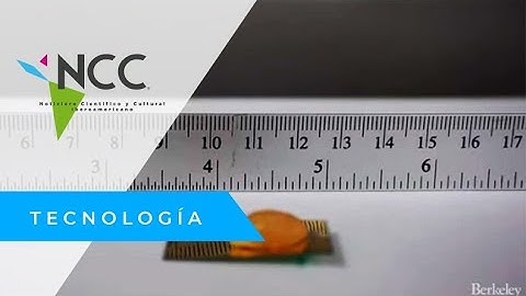 Ingenieros estadounidenses crean robot rescatista en forma de cucaracha