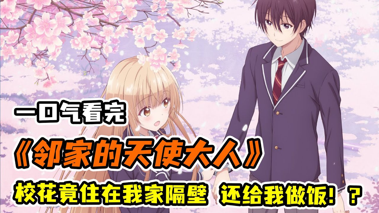 完美校花竟是我鄰居！男主太邋遢，校花主動上門服務，做飯洗衣還陪睡！一口氣看完《鄰家的天使大人不知不覺把我慣成了廢人》！