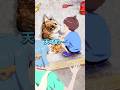 砂遊びのレベルが高すぎる子供
