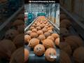 Coconut Processing Factory 😱 | Amazing Factory Technology #shorts #smartvillagetech