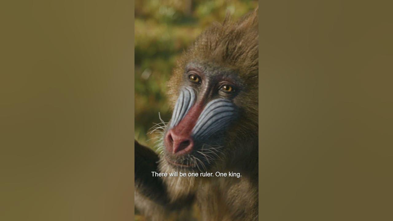 Mufasa: The Lion King | "Fight With Me" | In Theaters December 20 - Exploring the unlikely rise of the beloved king of the Pride Lands, “Mufasa: The Lion King” enlists Rafiki to relay the legend of Mufasa to young lion cub Kiara