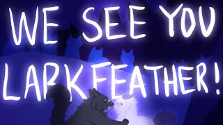 we see you larkfeather! // warriors cats oc animatic