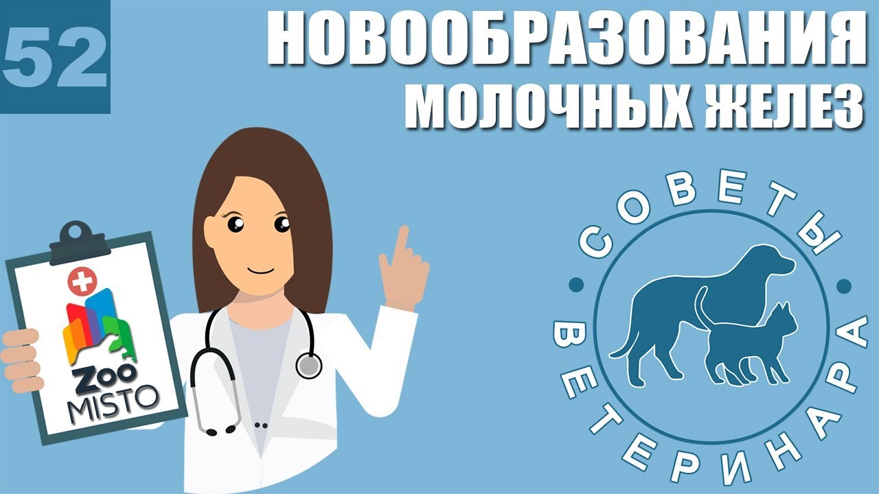 Новообразования молочных желез | Причины образования опухолей | Лечение ...