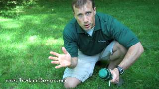 Irrigation Advice