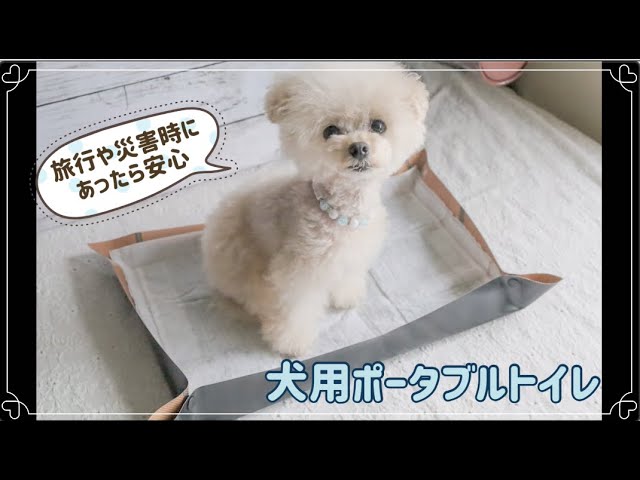 旅行・災害時に便利】犬用ポータブルトイレトレーをペット用消臭マット