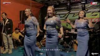 KOSIPA - ALL ARTIS EDB PRO