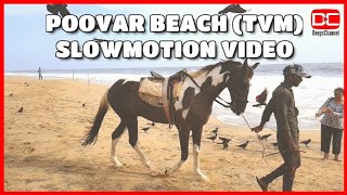 Poovar beach trivandrum - slowmotion video