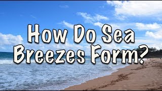 How Do Sea Breezes Form