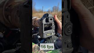 CANON 1DX MARK III - shutter sound at 16fps - #shorts