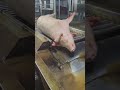 最後一波搞完下班了