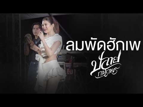 ลมพัดฮักเพ - ปลาย กนกพร (แสดงสด จ.หนองบัวลำภู)