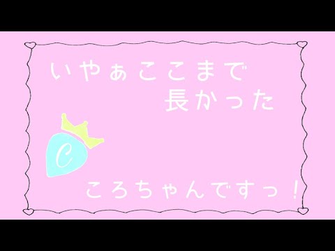 【すとぷり文字起こし】みんなでころちゃんですっ！