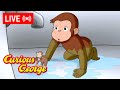 🔴 LIVE Curious George Episodes 🐵 Where's the Bath Water? 💧🛁  + MORE Episode Clips! 🐵