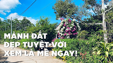 Hùn vốn thất bại bán lỗ thê thảm nhà vườn vị trí đẹp tuyệt vời ở BR-VT hơn 6,5 sào