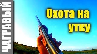 Охота на утку 2017 открытие сезона. Russian version of the opening of the duck hunt.