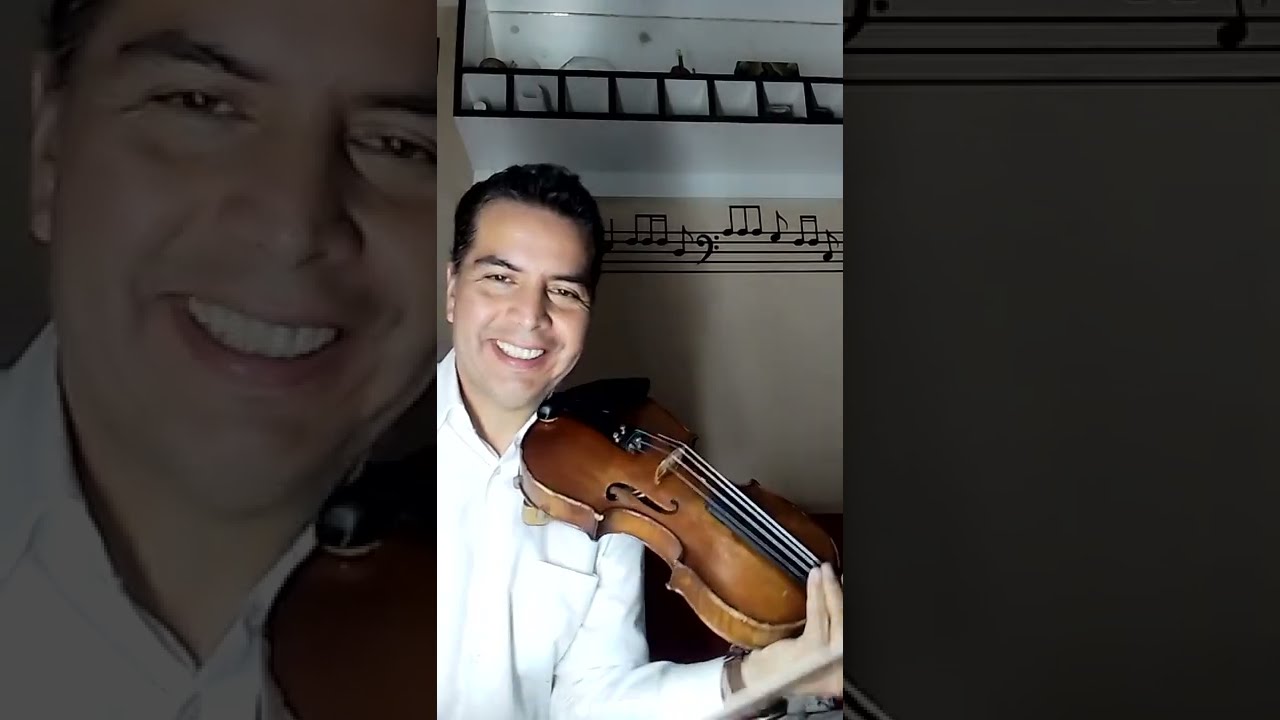 Granada, violín garibaldi