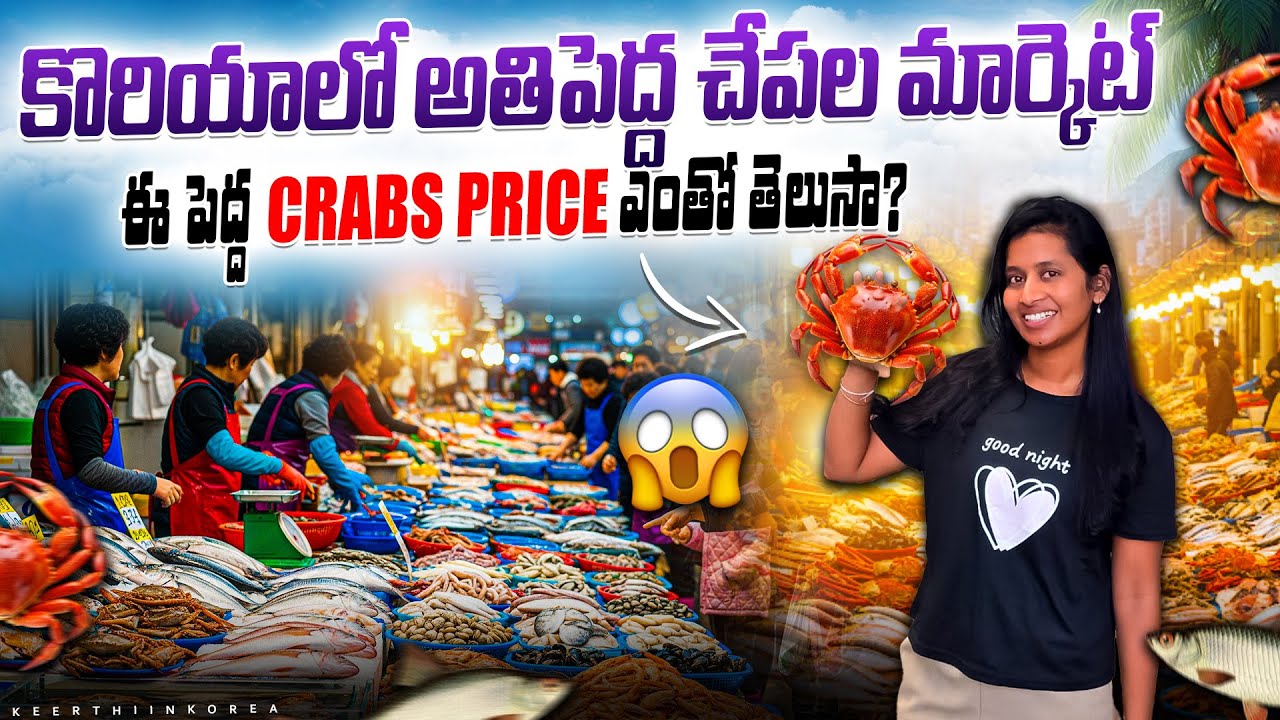 Biggest Fish Market in South Korea || Jukdo Fish Market, Pohang || Keerthi In Korea 