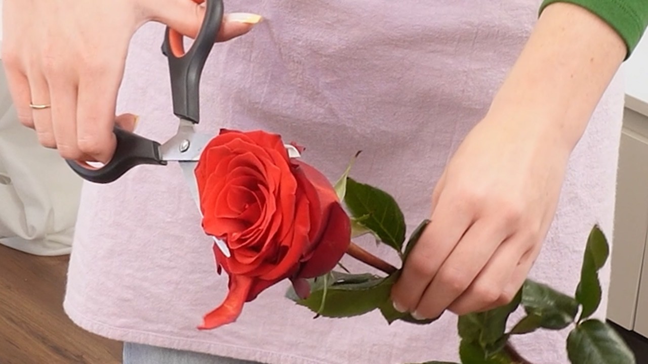 Schneide die Rose durch und lüfte das Floristen-Geheimnis!