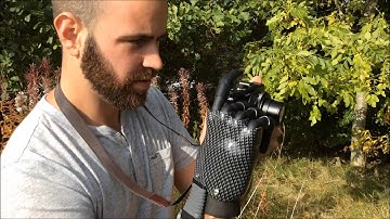 Introducing... i-digits quantum