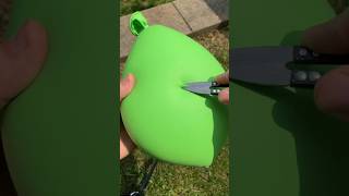 @365DaysChallenge #Day29 #shorts