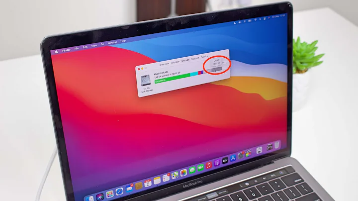 Mac Other Storage: How To Delete It! (Works With Any Mac)